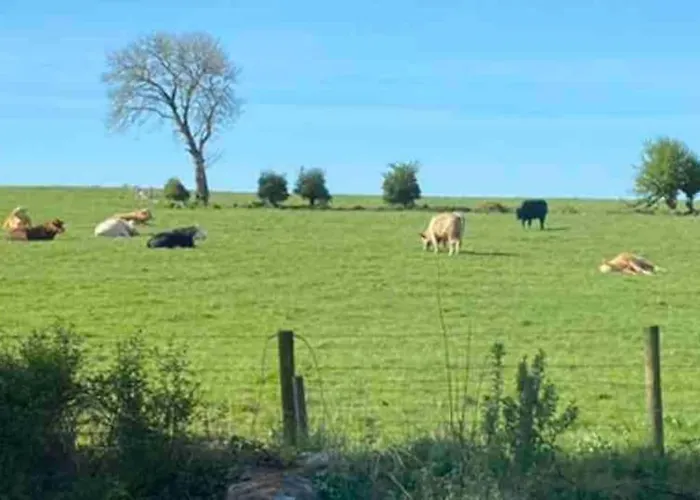 Cosy Farmhouse In The Heart Of Feriehus Roscommon